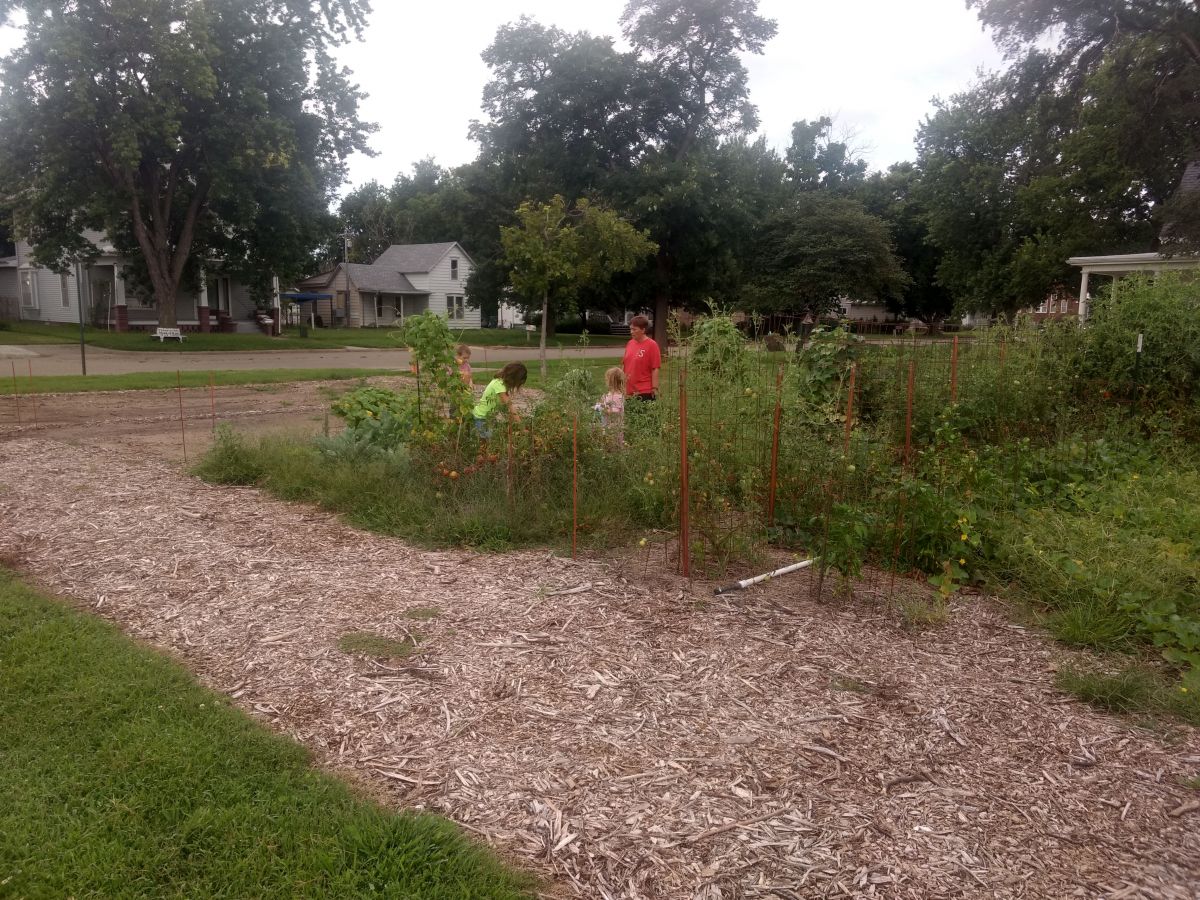 Community Garden